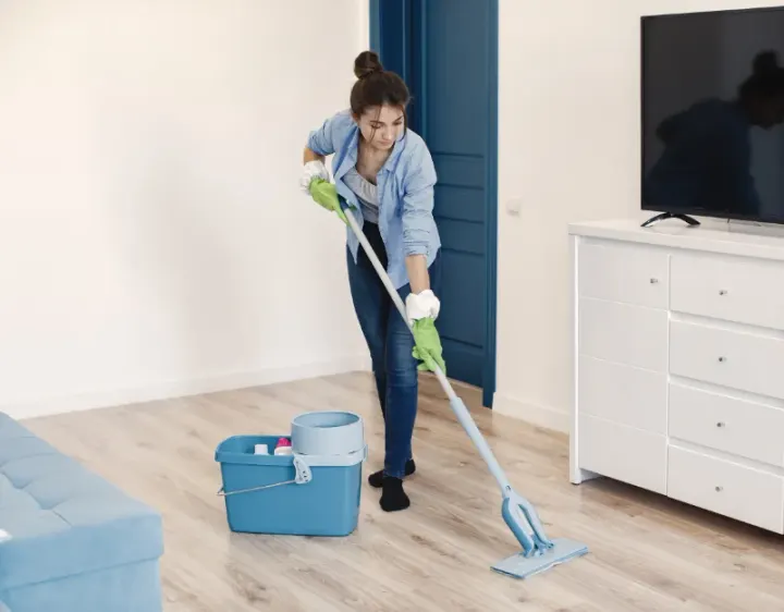 Femme de ménage Saint-Cierge-la-Serre